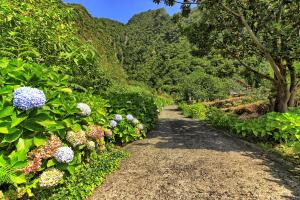 Chale Jardim De Cima