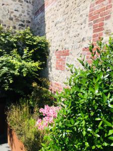 Maisons de vacances Maison d'architecte en plein coeur d'Honfleur avec bain nordique : photos des chambres