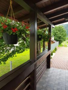 Casa Alesia Bucovina