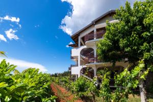 Apartman Petelin 