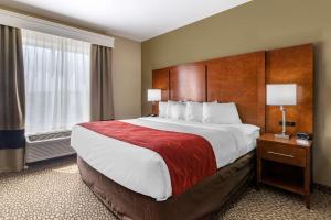 King Suite with Accessible Tub - Accessible/Non-Smoking room in Comfort Suites Florence I-95