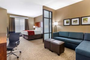 Comfort Suites Florence I-95