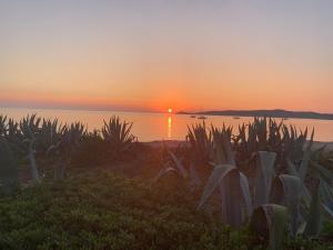 Hotels Hotel Thalassa : photos des chambres