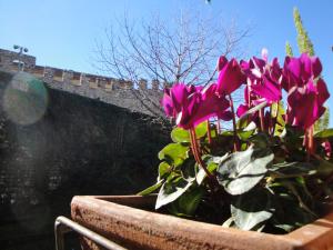 The Tower Of The Old King