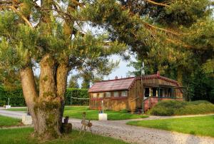 Maisons de vacances Chalets des Trois Hetres : photos des chambres