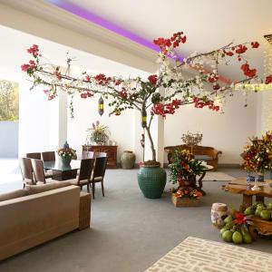 Luxurious & Comfortable