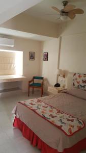 Hotel y Suites Nader