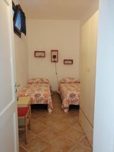 Albatros - Casa Alina img11