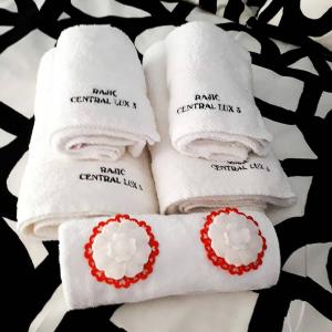 Apartman Rajić Central Lux