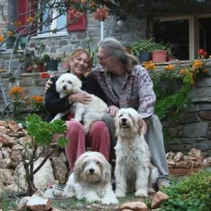 To The Garden - Kamárion