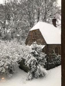 Beautiful converted Stable in peaceful Somerset, close to the Jurassic Coast