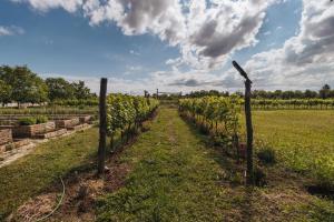 Sobe Kod Baje - Baranjska Kuća