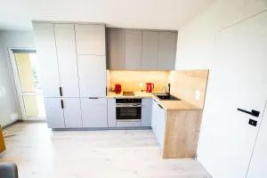 Apartament Piano Centrum - Dzimierz