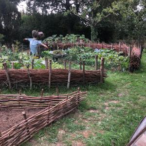 Sejours chez l'habitant Cottage les Forieres : photos des chambres