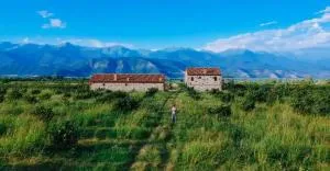 Mestvireni - 泰拉维