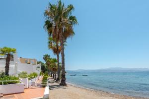 Beachfront Modern Apartment Evia Greece