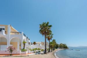 Beachfront Modern Apartment Evia Greece