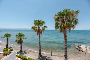 Beachfront Modern Apartment Evia Greece