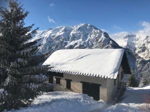 Appartements La Salamandre - SUPERBE APPARTEMENT CHEMINEE ET TERRASSE ALPE D'HUEZ : Appartement 3 Chambres