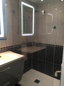 grand appartement Port Nature 7
