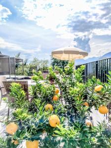 SOLEA SÜDTIROL Boutique Hotel