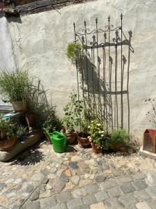 Ferienwohnung unterm Schreckensturm