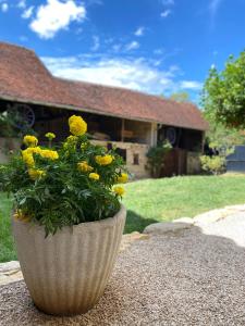 Maisons de vacances Clos De La Charnaille : photos des chambres