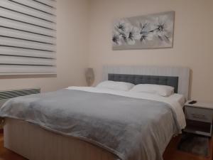 Zlatibor Relax - SPA