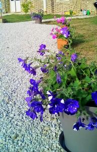 Les gites du lavoir photo 12