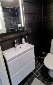 Arctic Skylight Lodge