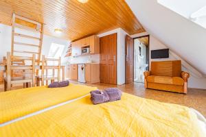 Studio Apartment room in Apartments V Zátiší