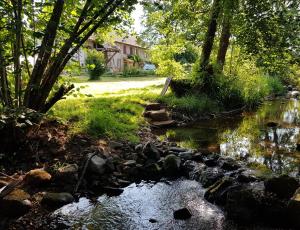 B&B / Chambres d'hotes Le jardin des gouttes : photos des chambres