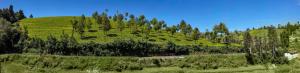 Club Mahindra Danish Villa, Ooty