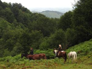 B&B / Chambres d'hotes Petit Chateau : photos des chambres