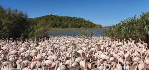 Hotels Hotel L'Alsace : photos des chambres