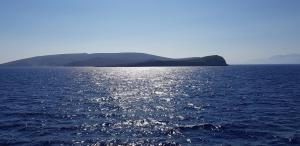 Hotels Hotel L'Alsace : photos des chambres