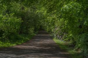 Bankton Rooms & Lodges