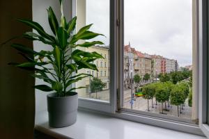 OZONOWANE Apartamenty St Martin Poznan Centrum