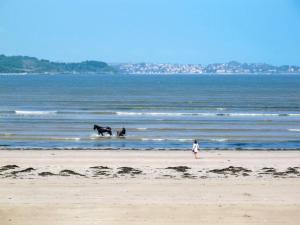 Maisons de vacances En Bretagne, villa de 2 a 8 pers , meuble de tourisme 3 etoiles nichee dans un ecrin de verdure a 2500m de la plage : photos des chambres