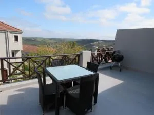 Plett D'light - New Horizons