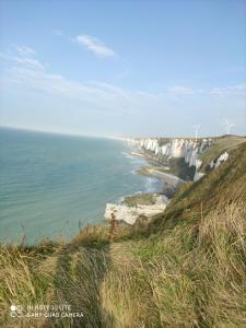 Appartements LE WELCOME vue port appartement plain pied : photos des chambres