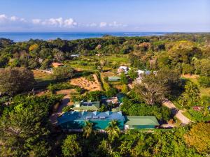 Hotel Cabinas el Tecal