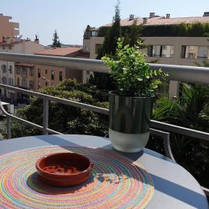 Hotels Hotel Bellevue Cannes : photos des chambres