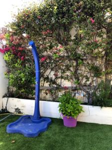 BEACH HOUSE STEFI img13