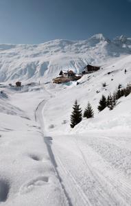 Hamilton Lodge & Spa