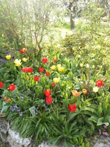 La Malinette B&B, calme et authenticité