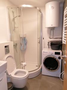 Apartman & Spa Viktor Lux