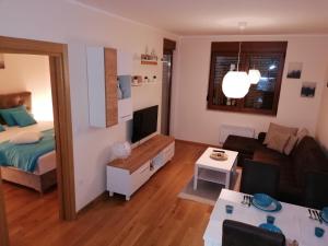 Apartman & Spa Viktor Lux