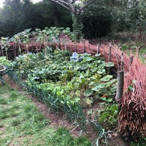 Sejours chez l'habitant Cottage les Forieres : photos des chambres