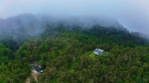 Villa Tesori Homestay Wayanad